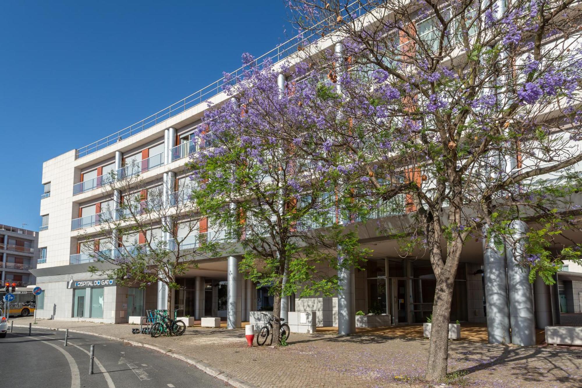 Beguest Premium Lisbon Suites Ngoại thất bức ảnh